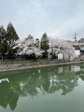 藤森駅周辺