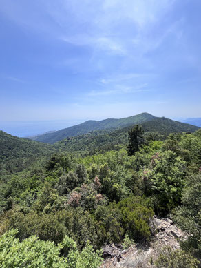 monte caggio ligurie