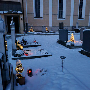 Gräber mit Christbäumen 