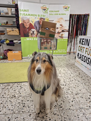 2026_03_07_Spendenannahme_Foto:Oetken
