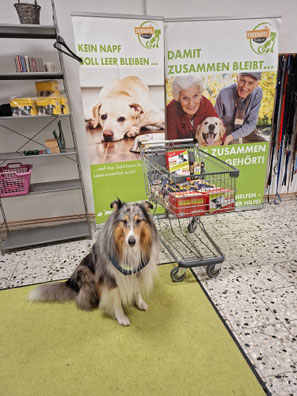 08.11.2025_Spendenannahme_Foto: Oetken