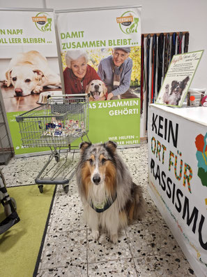 08.11.2025_Spendenannahme_Foto: Oetken