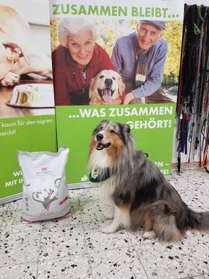 2025_03_01 Spendenannahme_Foto: Oetken