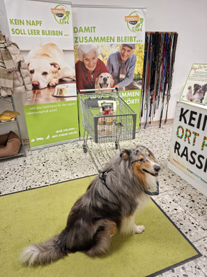 04.10.2025: Spendenannahme_ Foto: Oetken