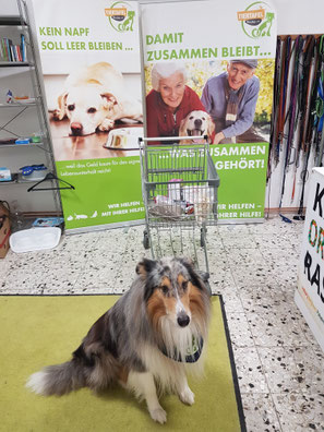 2025_02_15_Spendenannahme_ Foto: Oetken