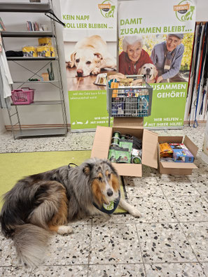 08.11.2025_Spendenannahme_Foto: Oetken