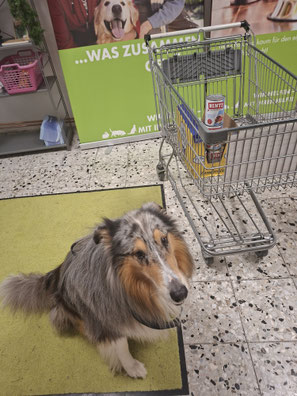 2025_12_06_ Spendenannahme_Foto: Oetken