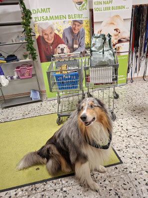 2025_12_06_ Spendenannahme_Foto: Oetken