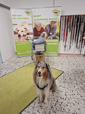 2026_05_09_Spendenannahme_Foto: Oetken