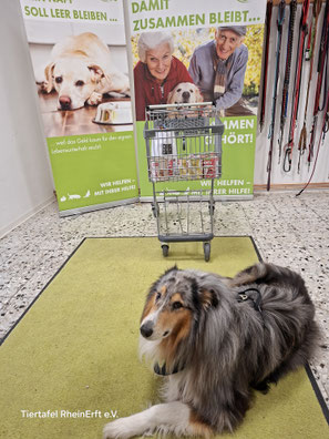 06.06.2026_Spendenannahme_Foto:Oetken