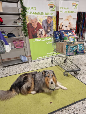 2025_12_06_ Spendenannahme_Foto: Oetken