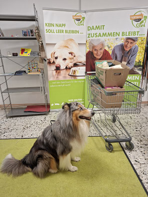 2025_08_02 Spendenannahme_Foto:Oetken