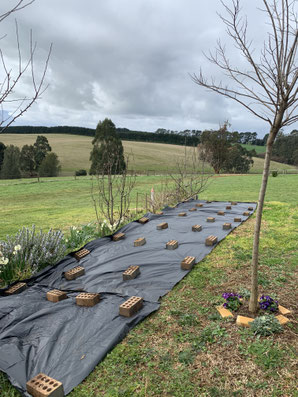 Creating a no-dig garden.