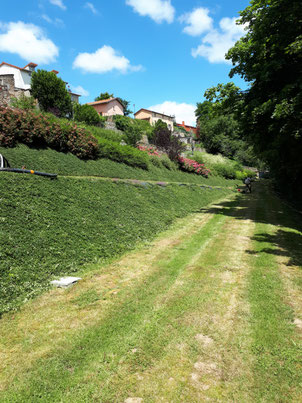 Entretien espaces verts