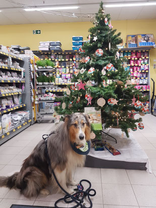 Wunschbaum beim Futterhaus Quadrath-Ichendorf, Foto: Oetken