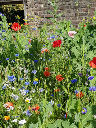 29_06_2024 Foto: Oetken