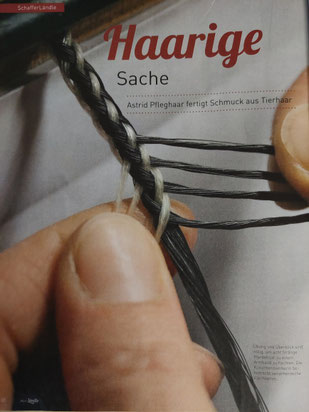 Tierische Kunstwerke in der Zeitschrift "Mein Ländle"