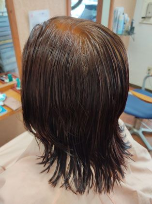 美らヘナ染め後シコン色染め