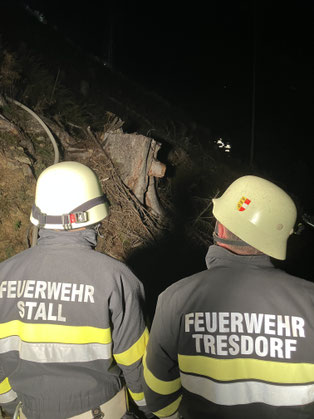 Waldbrand in Stall: LINK zum Einsatzbericht