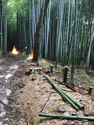 7月18日　切った竹の葉のついてる方が・・・