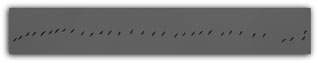Linientreue gegen Abend           13.02.2026