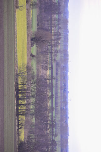 ©Oderbruch-blog Waldbaden Märkische Schweiz
