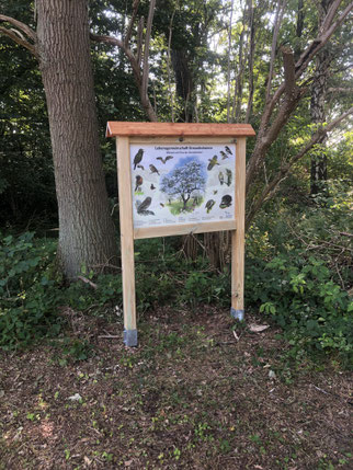 Schild mit Illustrationen, dahinter Bäume