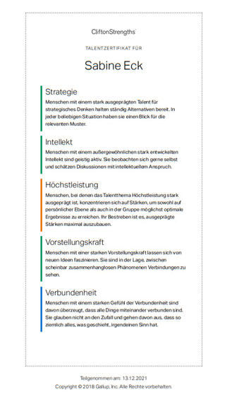 Die Abbildung ist ein Talentzertifikat von Sabine Eck. Die herausragenden Talente sind gelistet und erläutert. Im Einzelnen geht es um Strategie, Intellekt, Höchstleistung, Vorstellungskraft und Verbundenheit.