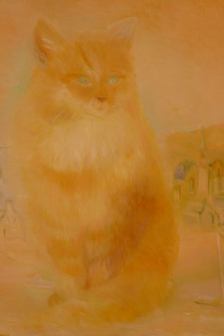 A dreaming cat 40x50cm
