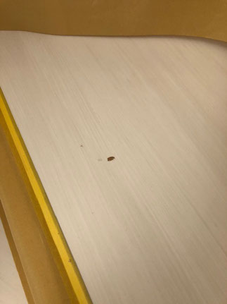 階段踏み板の穴キズ ワッツ クイックサービス 住まいの補修職人 階段踏み板の穴キズ ワッツ クイックサービス 住まいの補修職人
