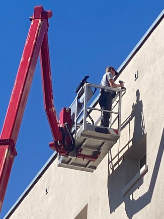 Rolf Zuber, Schädlingsbekämpfung und Vogelabwehr Reilingen