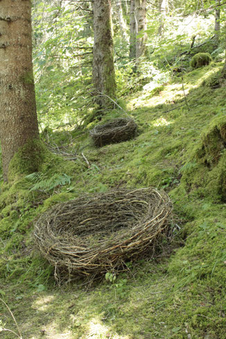 brigitta backhaus, nurnatur, landart, landartist, art, temoraryart, inspired by nature, naturalart, landartphotography, temporayartwork, landscape, Landart Festival Grindelwald