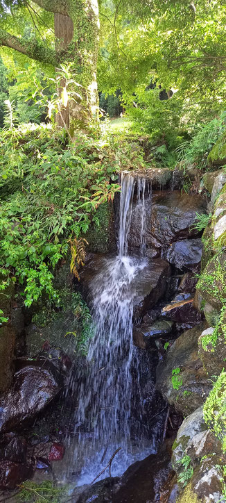 12 #山の中の小さな滝　#フリー画像 