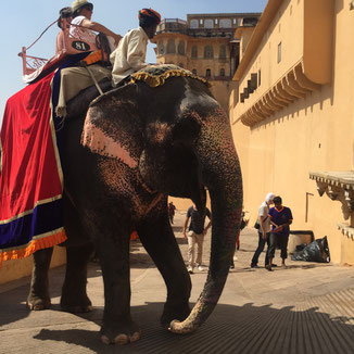 Guided group tour Rajasthan