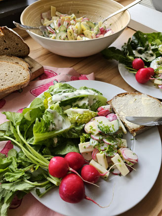 Radieschensalat mit Käsewürfeln, frischen Kräutern und würzigem Dressing