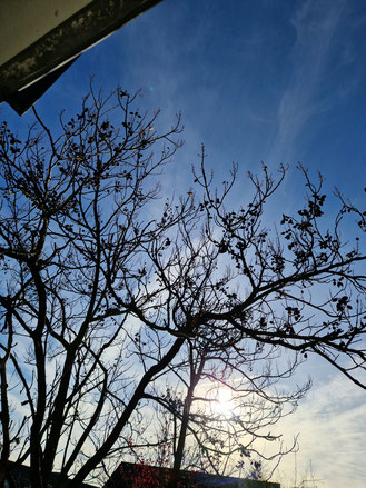 12 von 12 November, Ein Tag bunt gemischtes, Schöner Morgenhimmel