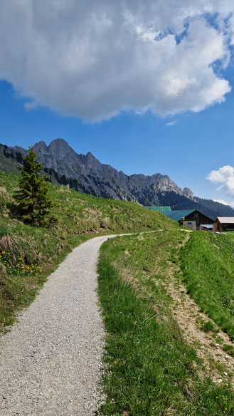 barrierefreier Fußweg zur Lechaschauer Alm