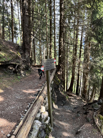 Wandern mit Hund im den Dolomiten - Übernachtung mit Hund auf der Seiser Alm