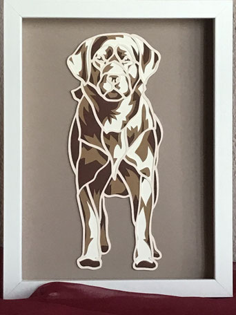Labrador