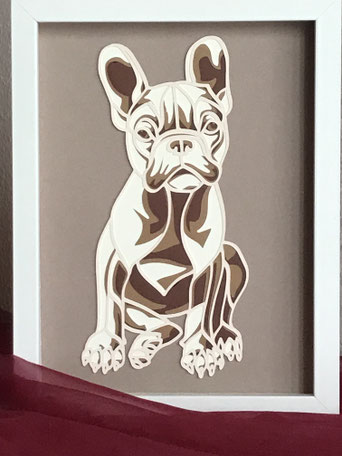 Französische Bulldogge