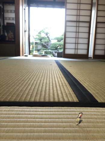 外からの光が入り畳の陰影で筋がくっきりと見える