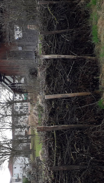 OGV Bildarchiv, Fotos wurden eingescannt