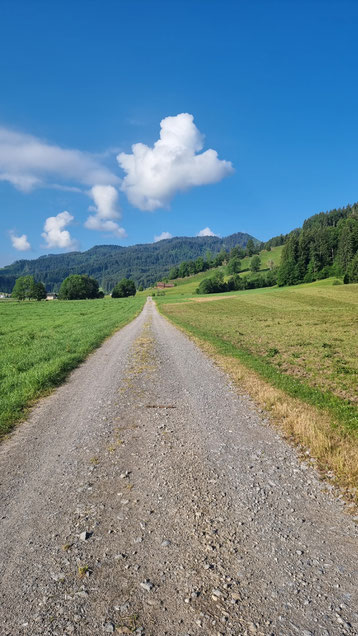 Wanderweg bei Einsiedeln