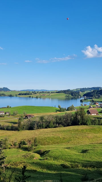Blick auf den Sihlsee