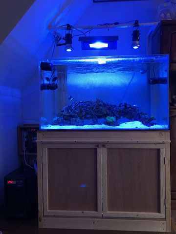 FOK BIO-10000 大型水槽用 1000×600×6000サイズ大型オーバーフロー水槽でのDEP-10000使用事例