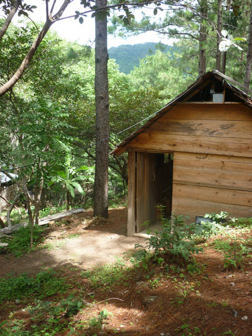 Un bungalow au milieu des pins, pour le plein de nature. Possibilite de dormir pour 6 personnes.