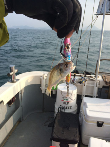 お見事！！　Smallfishもゲット！！（笑）（笑）。