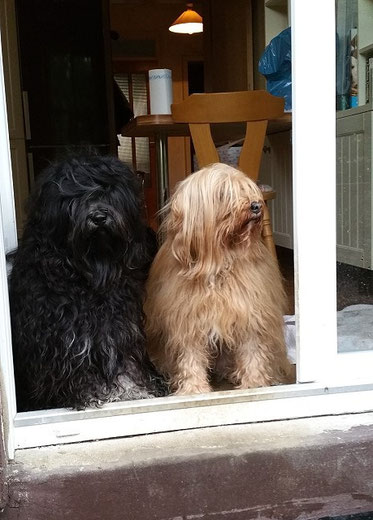 Yeshi und Bya-ra an der Terrassentüre