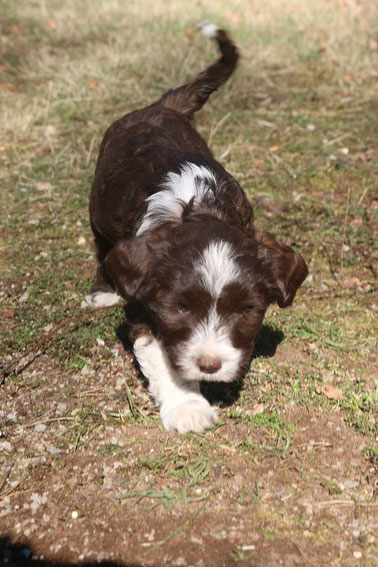 Boomer ist fest vergeben