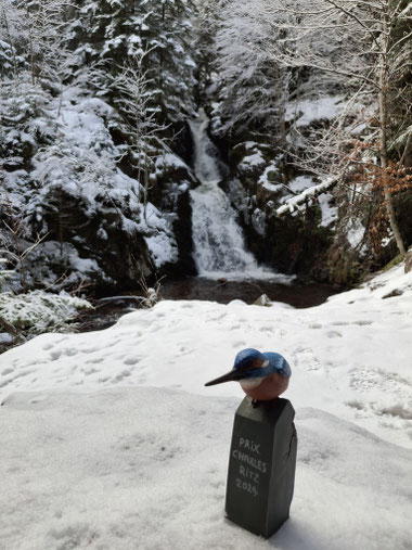 Un martin-pêcheur en balade hivernale à la cascade de Chorsin ...